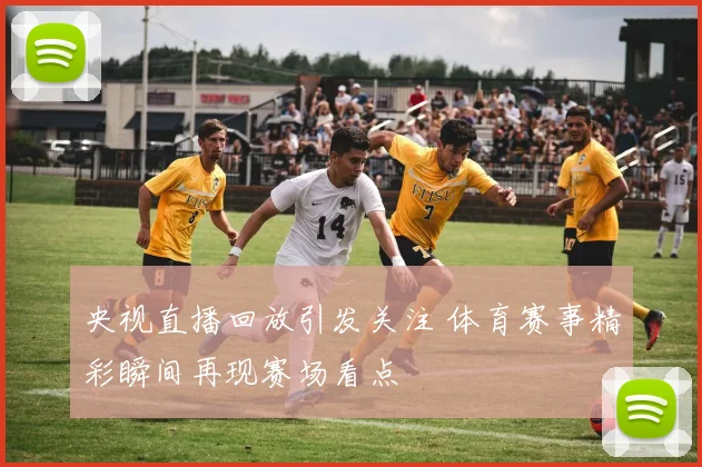 央视直播回放引发关注 体育赛事精彩瞬间再现赛场看点